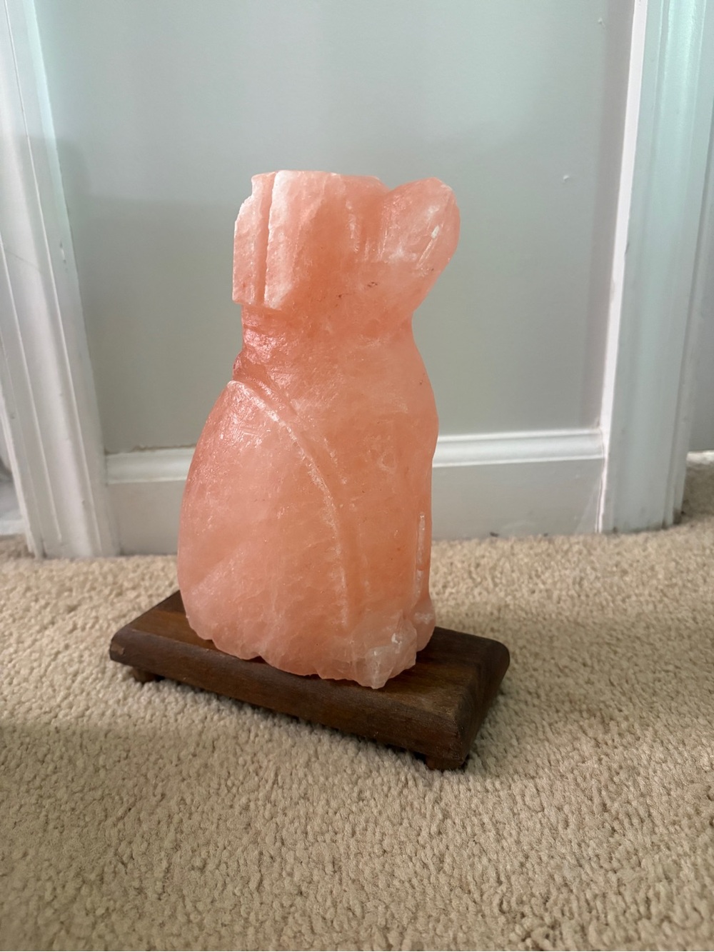 Dog-Shaped Himalayan Salt Lamp